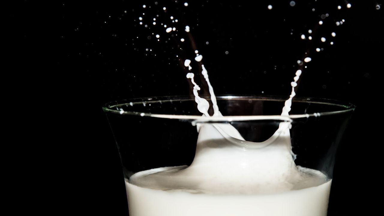 mleko produkcja